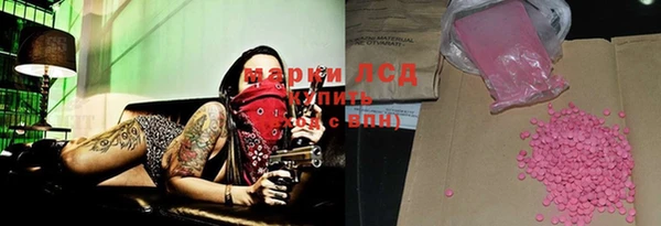 индика Новочеркасск